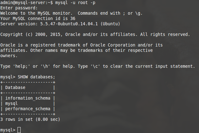 Salida en pantalla de una base de datos MySQL recién instalada