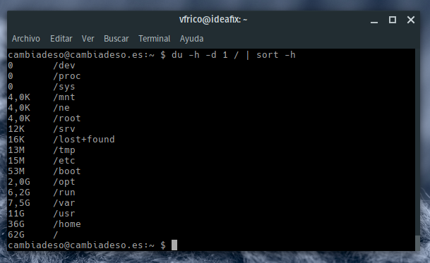 Salida de Disk Usage por la terminal